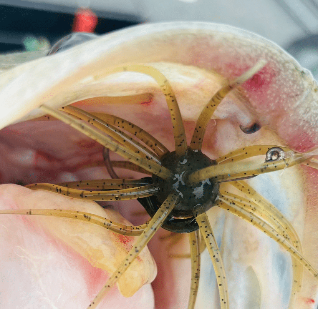 Reneau Tackle's Anchor Weight